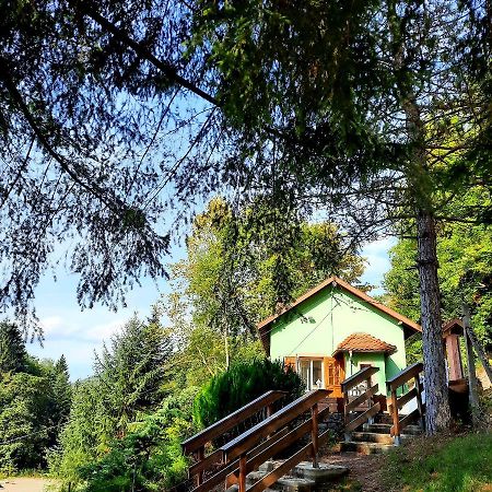 Gite L'Envol Villa Belval  Bagian luar foto